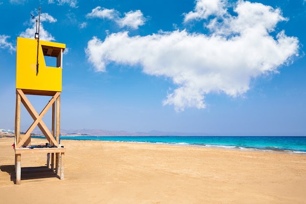 Jandia sotavento beach fuerteventura canary