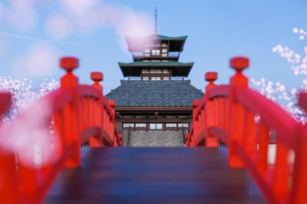 일본 성곽과 벚꽃 봄 사쿠라 시즌 일본 또는 한국 건축