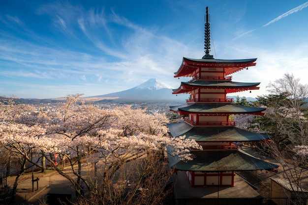 Japan at Chureito Pagoda and Mt. Fuji in the spring with cherry blossoms full bloom during sunrise.