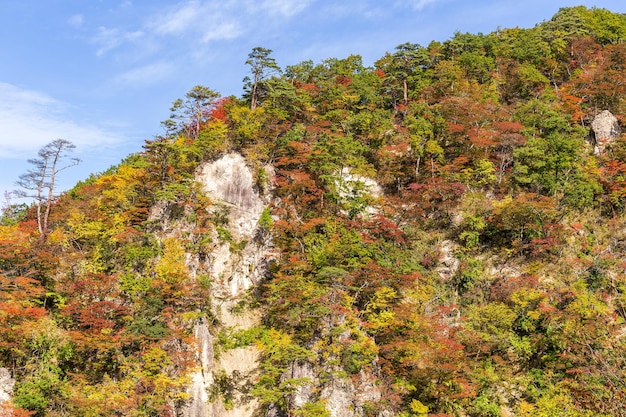 Japan Naruko-canion in de herfst