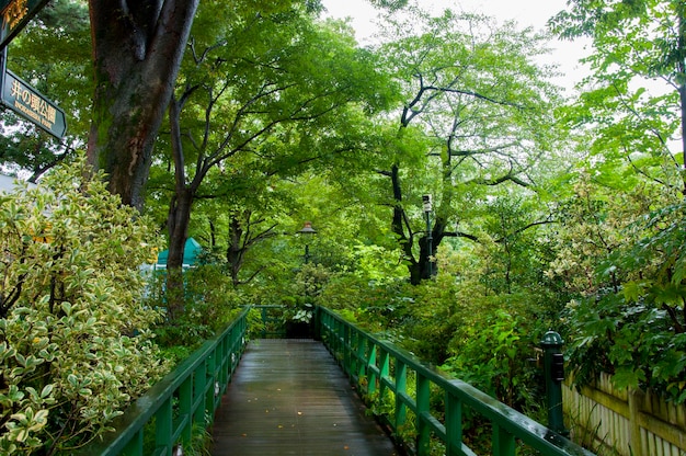 Japan Tokyo Mitaka Ghibli Museum groen parkpad