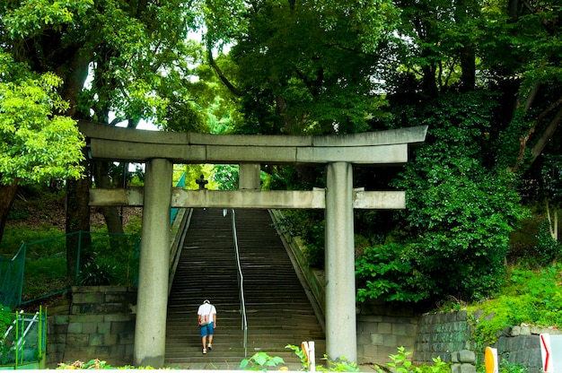 Photo japan tokyo ueno park stairs torii gate