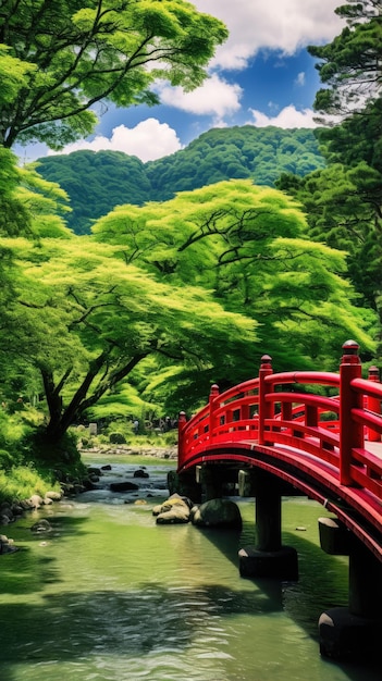 japan zen bridge landscape panorama view photography Sakura flowers pagoda peace silence tower wall