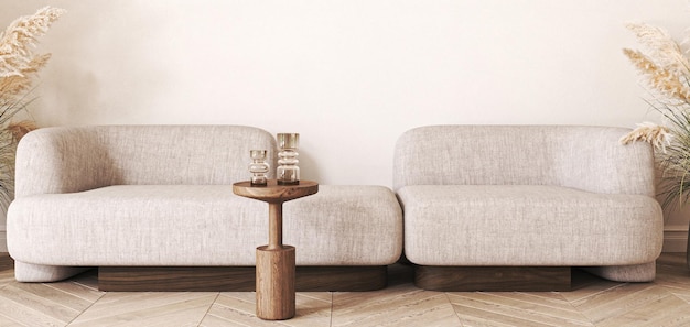 Japandi boho beige interior with sofa and dry plant background light modern australian livingroom
