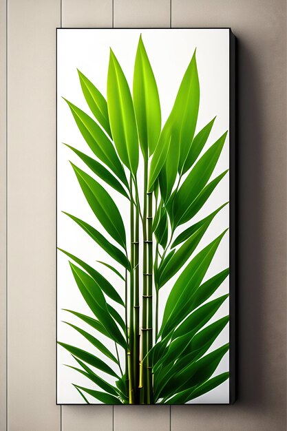 Japanese bamboo plant leaves isolated on white background clipp