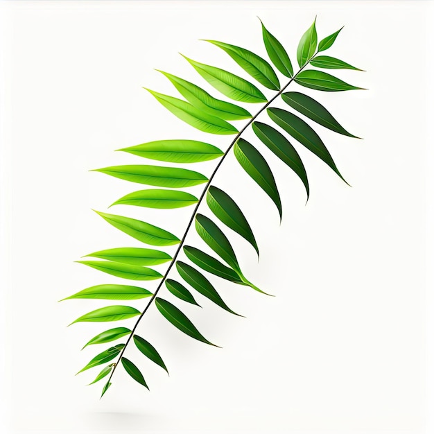 Листья японских бамбуковых растений, выделенные на белом фоне, включены в путь обрезки
