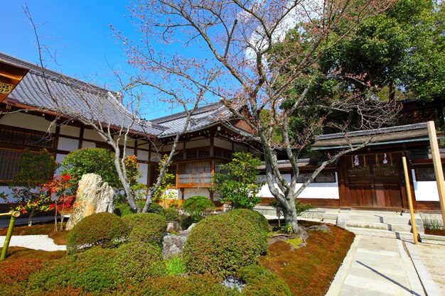 Japanese building with plant