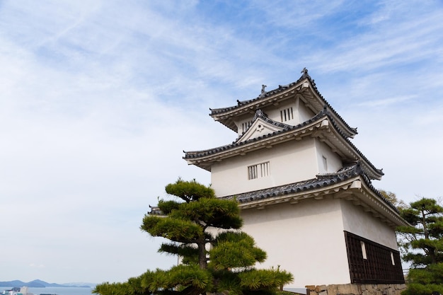 Japanese castle in Marugame