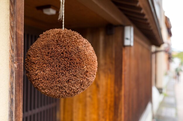 Photo japanese ceder ball