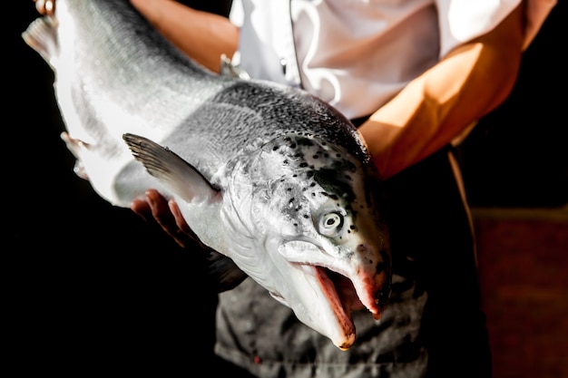 Japanese chef is offering salmon for cooking.