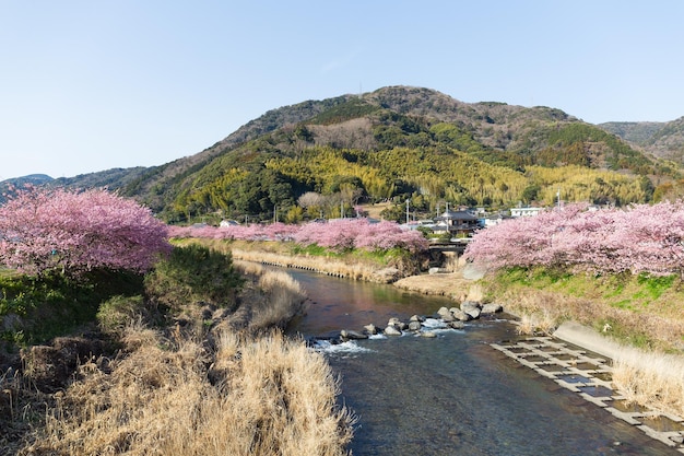 Photo japanese city with sakura