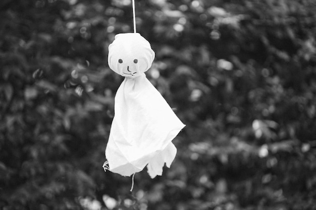 Photo japanese doll rain teru teru bozu