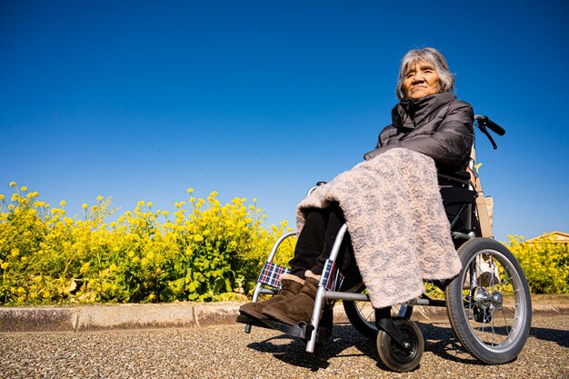 Japanese elderly woman in a wheelchair and flower garden