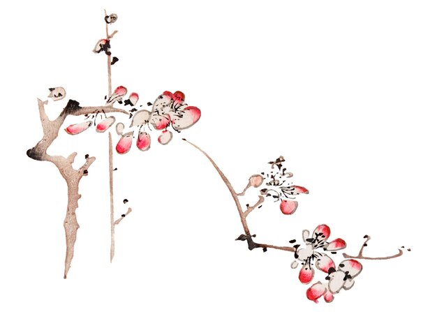 Photo japanese flower ink flower asia flower asia art cherry blossom zen philosophy ink painting