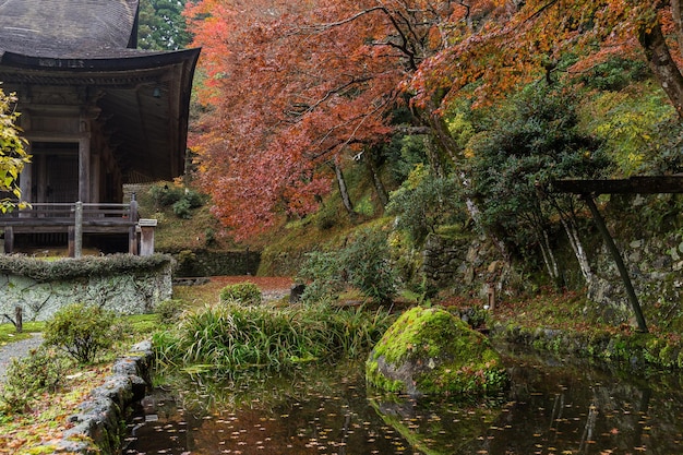 Japanese garden in autumn season