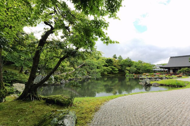 Japanese garden in kyoto japan