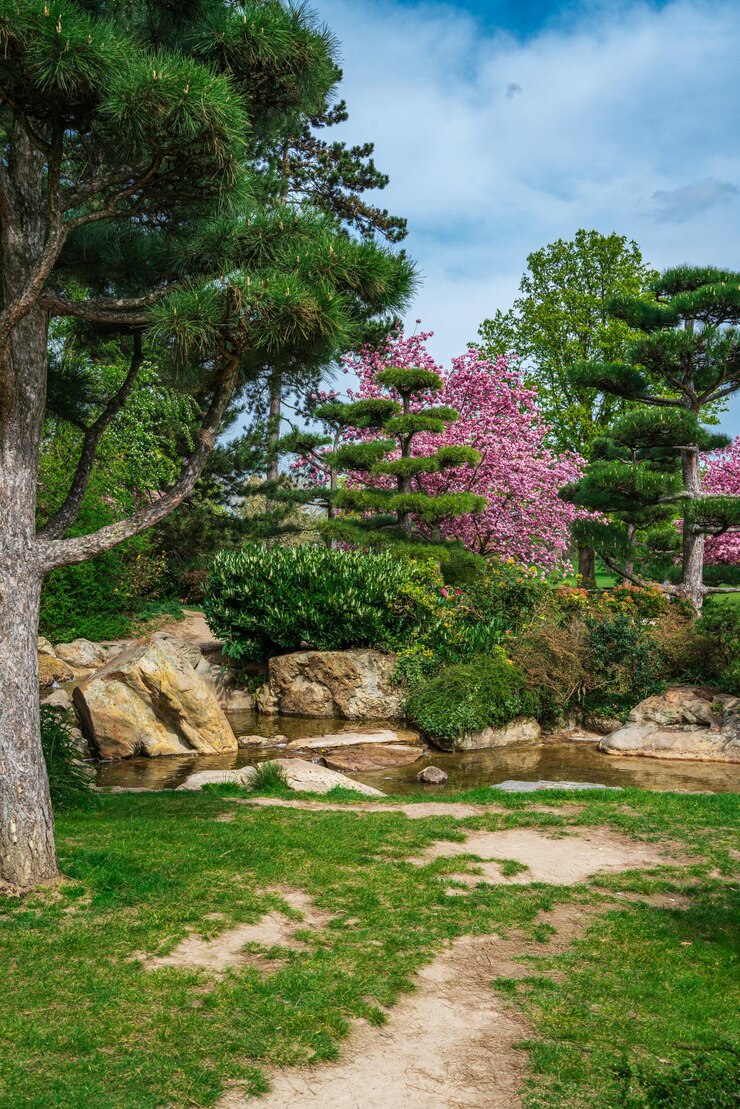 Photo nordpark 뒤셀도르프 독일의 일본식 정원