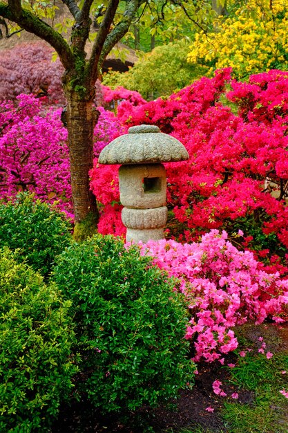 일본 공원 클링덴데일 헤이그 네덜란드