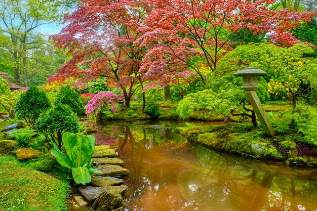 Фото Японский сад парк клингендейл гаага нидерланды