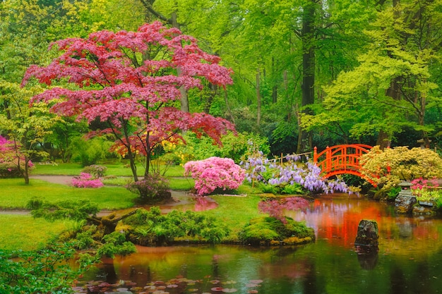 Фото Японский сад, парк clingendael, гаага, нидерланды