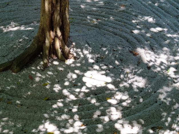 Japanese garden scenery