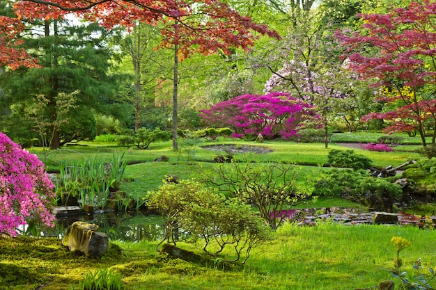 春の日本庭園、デンハーグ、オランダ