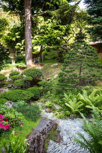 Japanese garden in summer