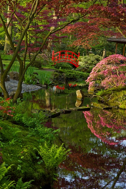 Japanese garden with red bridge, Den Haag, Holland