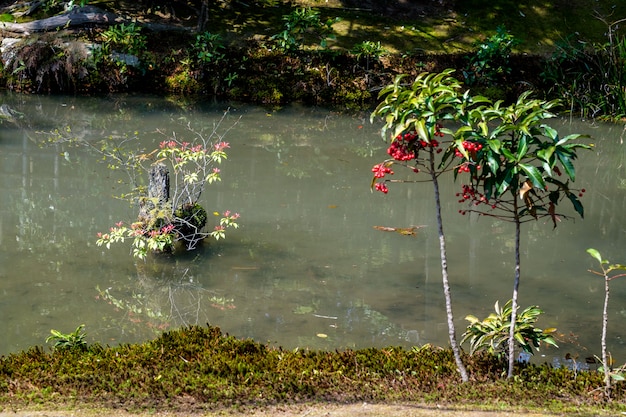 日本庭園