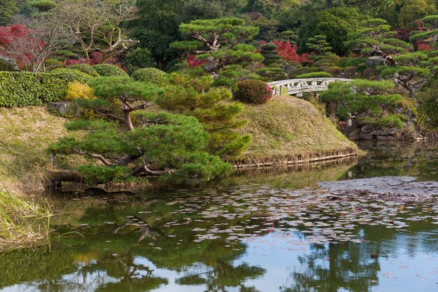 Japanese garden