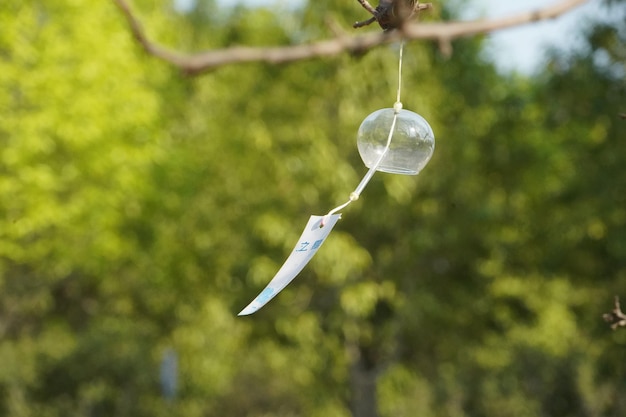 Japanese glass wind chime in the garden.