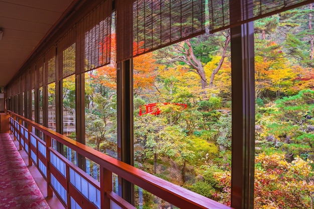 紅葉のある日本の緑豊かな公園、日本の秋の秋