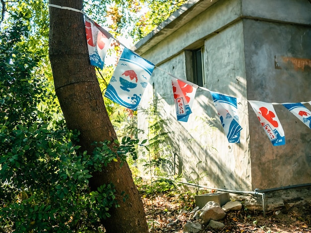 Japanese ice cream shop flags in the tree grove with warm sunlight