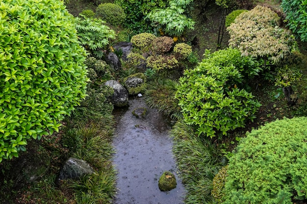 Japanese lush green garden with decorative stone 