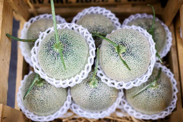 Japanese Melon ready for sale in supermarket