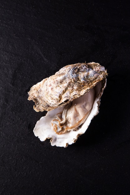 Japanese Oyster, Kaki