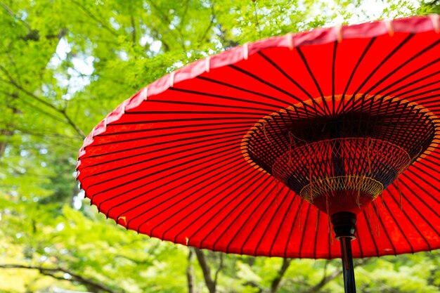 Japanese red umbrella