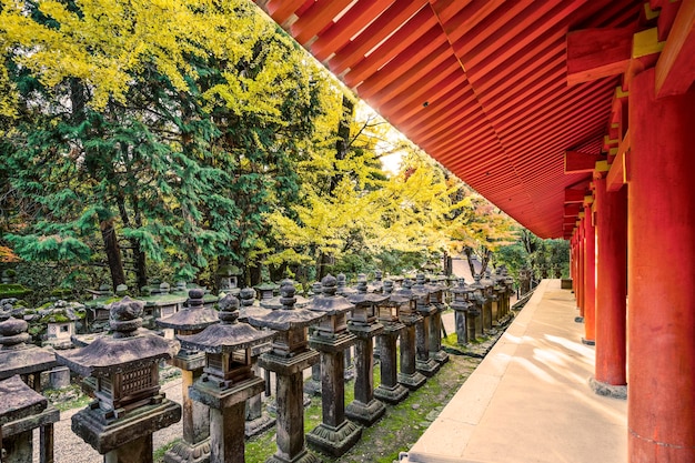 Photo japanese stone lanterns