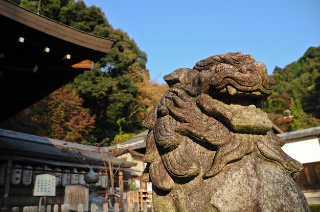 京都の古い神殿にある日本の石獅子像