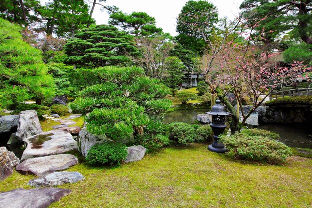 Japanese style garden