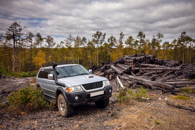 Japanese SUV in autumn forest near old logs