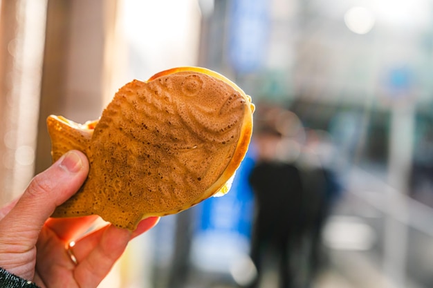 Japanese sweets Taiyaki with sunshine