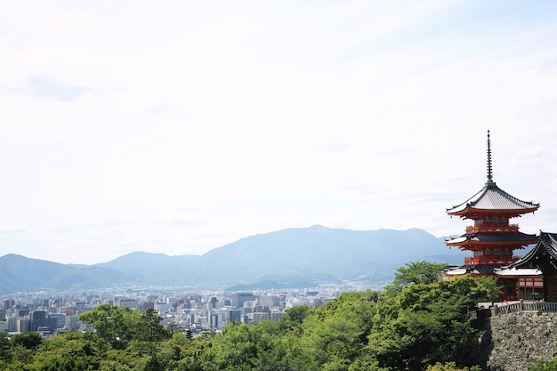 日本の京都市の日本の寺院と緑のカエデの葉