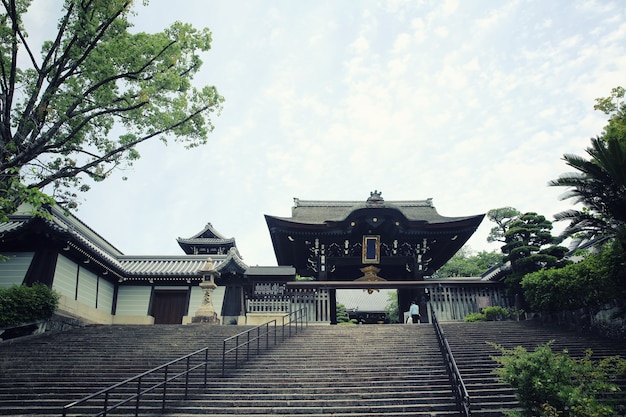 京都の日本の寺院と緑のカエデの葉