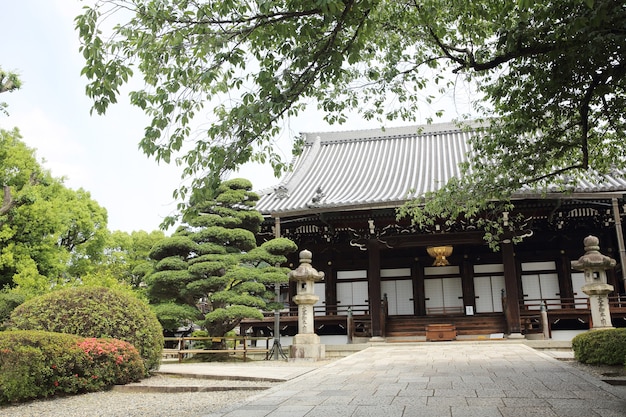 京都の日本の寺院と緑のカエデの葉