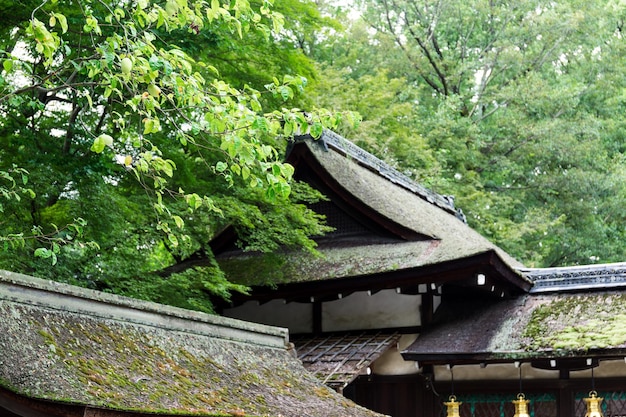 写真 日本の寺院の屋根タイル