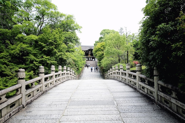 일본 교토의 붉은 문과 녹색 단풍잎이 있는 일본 사원