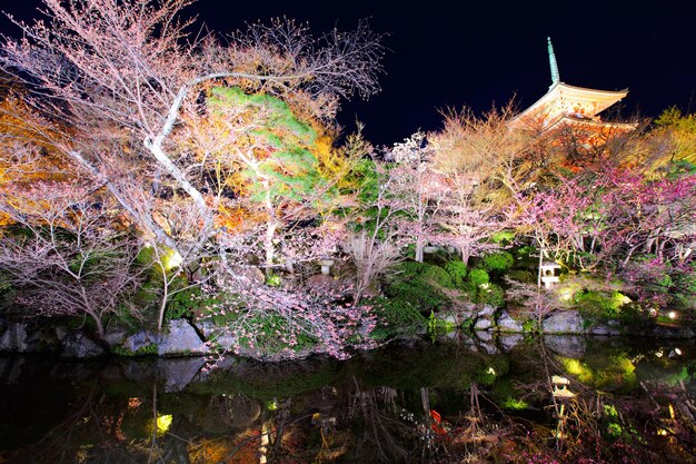 Foto tempio giapponese con sakura di notte