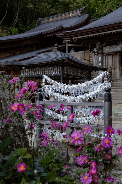 사진 일본 사원