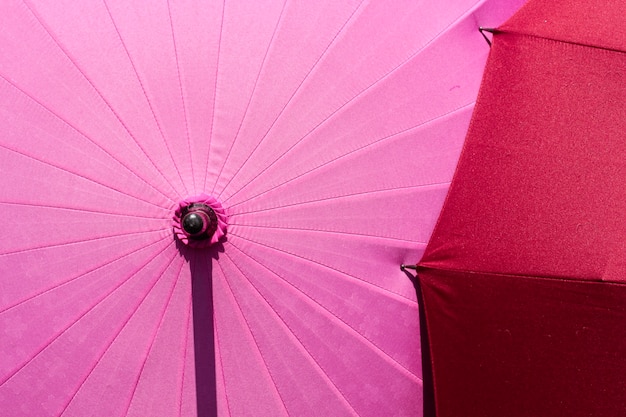 Japanese umbrella with sakura pattern. 